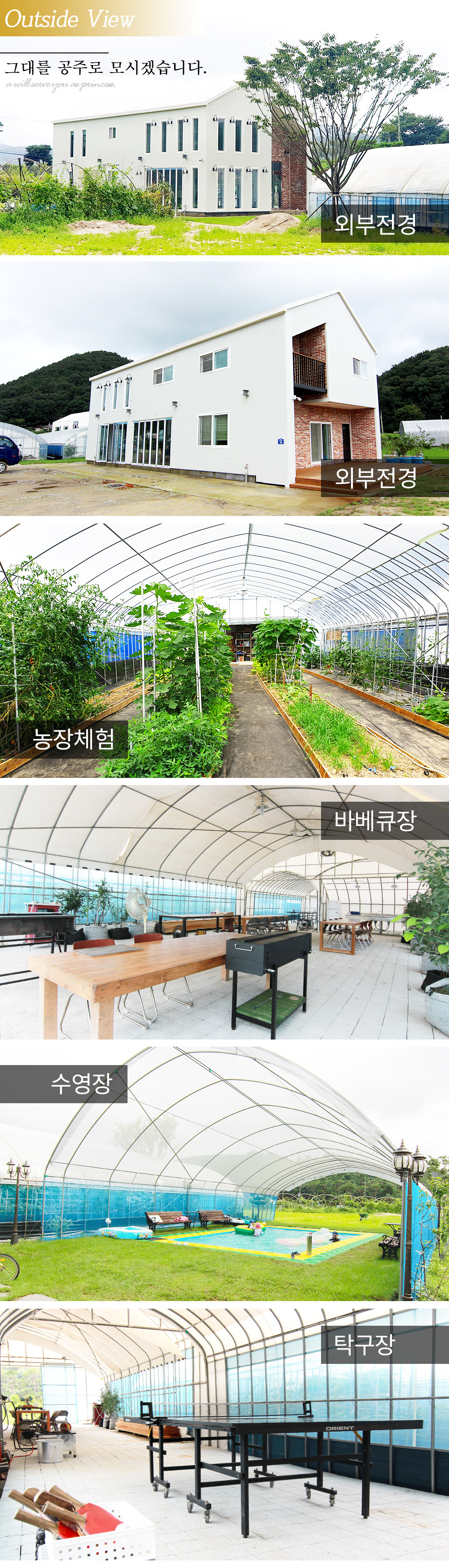이미지명
