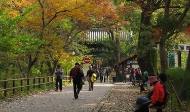 갑사오리숲길 - 무릉펜션에서 5.5km