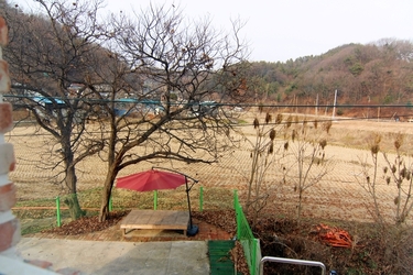 펜션 옆
