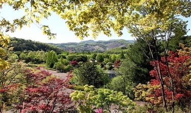 금강수목원 - 무릉펜션에서 5.4km