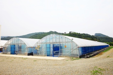 비닐하우스
